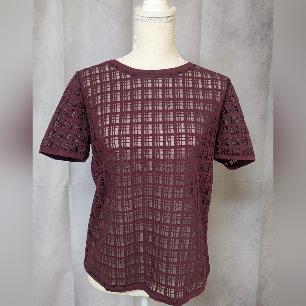 LOFT Burgundy Short Sleeve Sheer Top